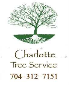 charlottetreeservice